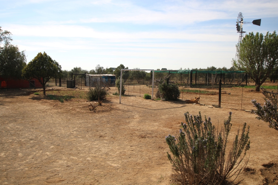 3 Bedroom Property for Sale in Fraserburg Northern Cape